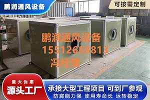玻璃钢引风机